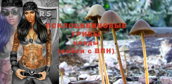 дмт Балахна