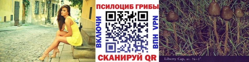 купить наркотики сайты  Белая Холуница  Псилоцибиновые грибы MAGIC MUSHROOMS 